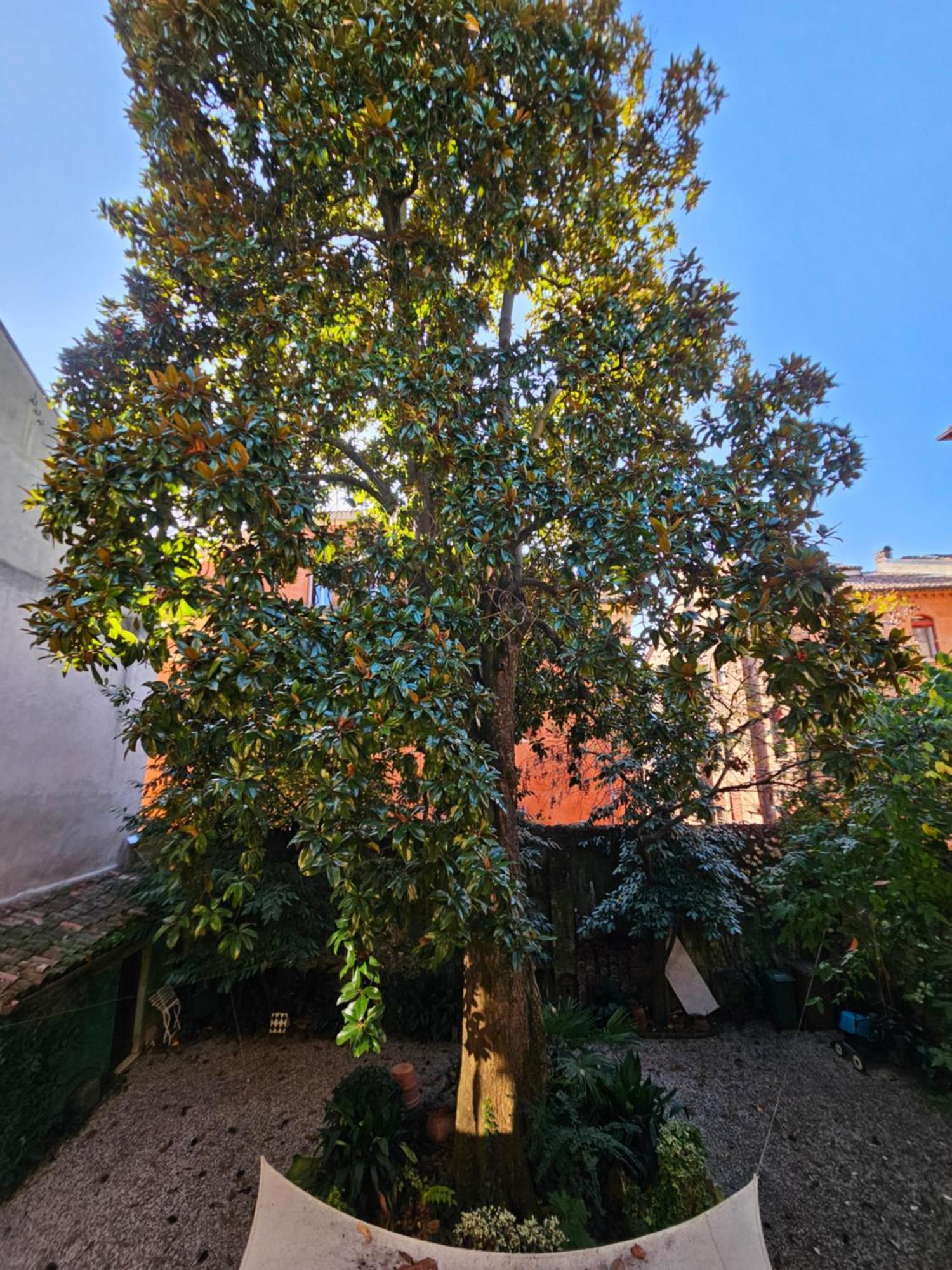 Apartament L'Ape Regina Ferrara Zewnętrze zdjęcie